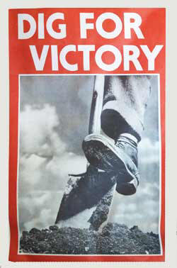 poster-dig-victory